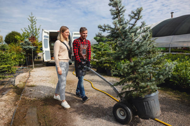 Best Dead Tree Removal  in Fort Ashby, WV